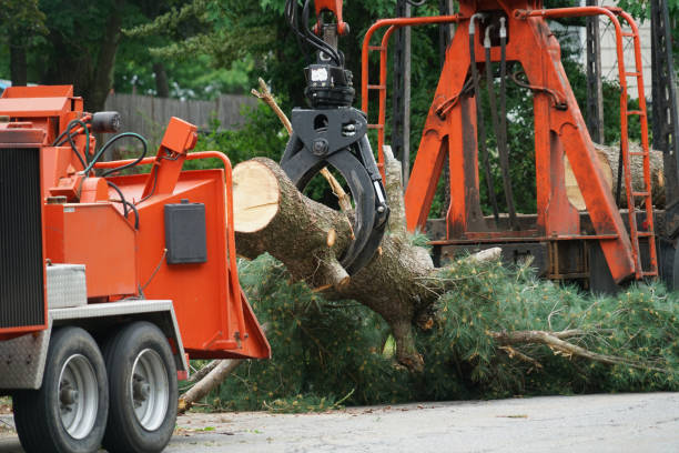 Best Tree Risk Assessment  in Village Of Waukesha, WI